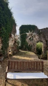 ARCHE-EN-SECHE-1